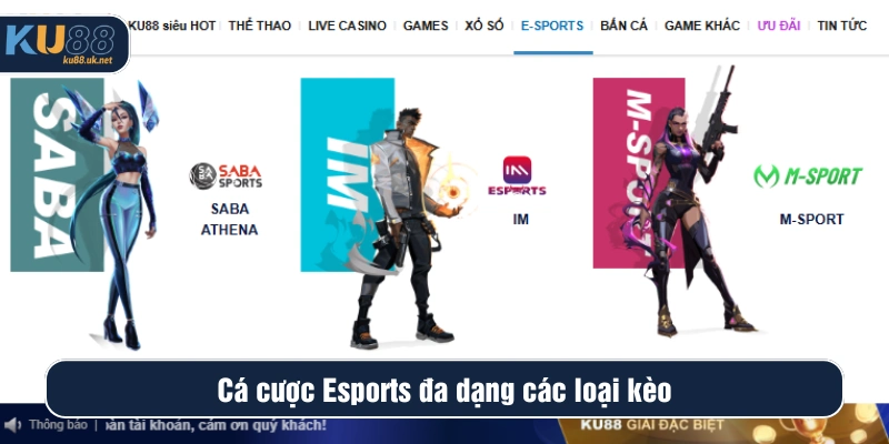 Người chơi có nhiều sự lựa chọn khi chốt kèo Esports ở KU88 
